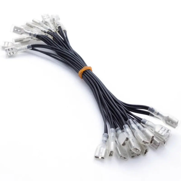 30-connection-black-daisy-