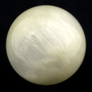 Butteroj Yellow Ivory Pearl 38 mm Ball Top Butteroj