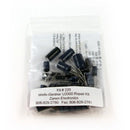 U2000 25" and 27" Color Monitor Cap Kit Zanen Electronnics