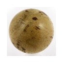 PAS Spalted Tamarind Wooden Balltop Paradise Arcade